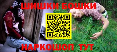 МДПВ Лесосибирск