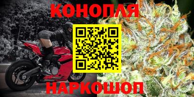 МДПВ Лесосибирск