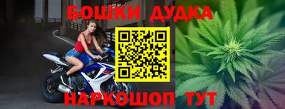 МДПВ Лесосибирск
