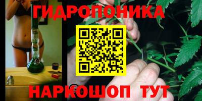 ECSTASY Ливны
